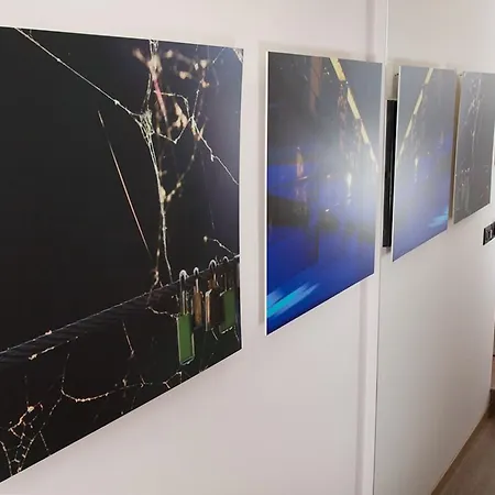 Urban Homy فندق مبيت وإفطار ليوبليانا